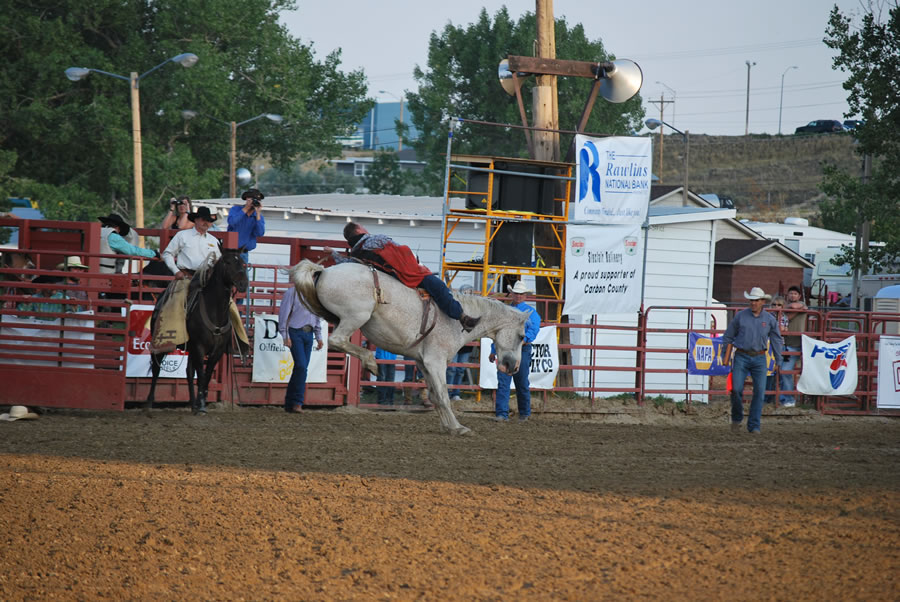 Julie Webb   2017 Fair 784